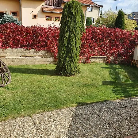 Zlty Dom Homestay