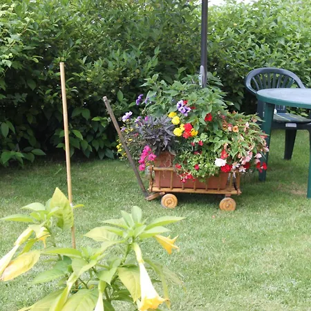 Zlty Dom Homestay Vrbov