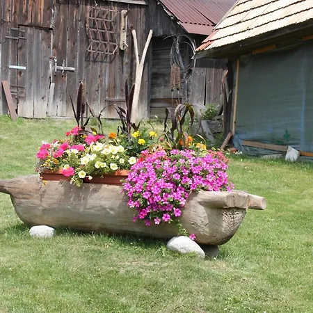 Homestay Zlty Dom