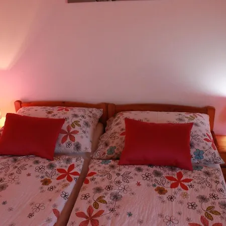 Zlty Dom Homestay *